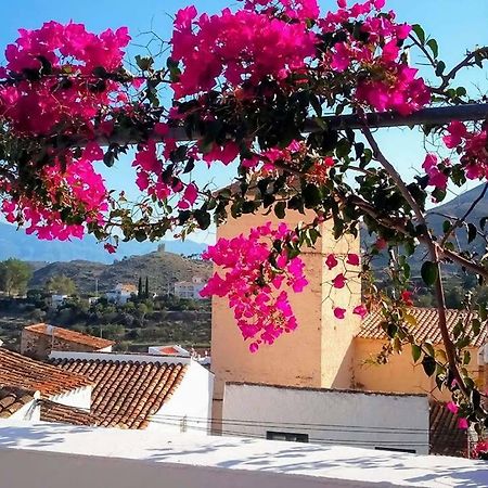 Casa Caballito De Mar Boutique B&B Bedar Екстер'єр фото