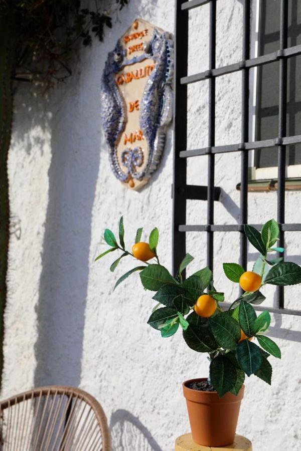 Casa Caballito De Mar Boutique B&B Bedar Екстер'єр фото
