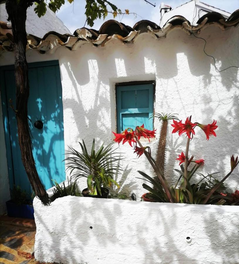 Casa Caballito De Mar Boutique B&B Bedar Екстер'єр фото