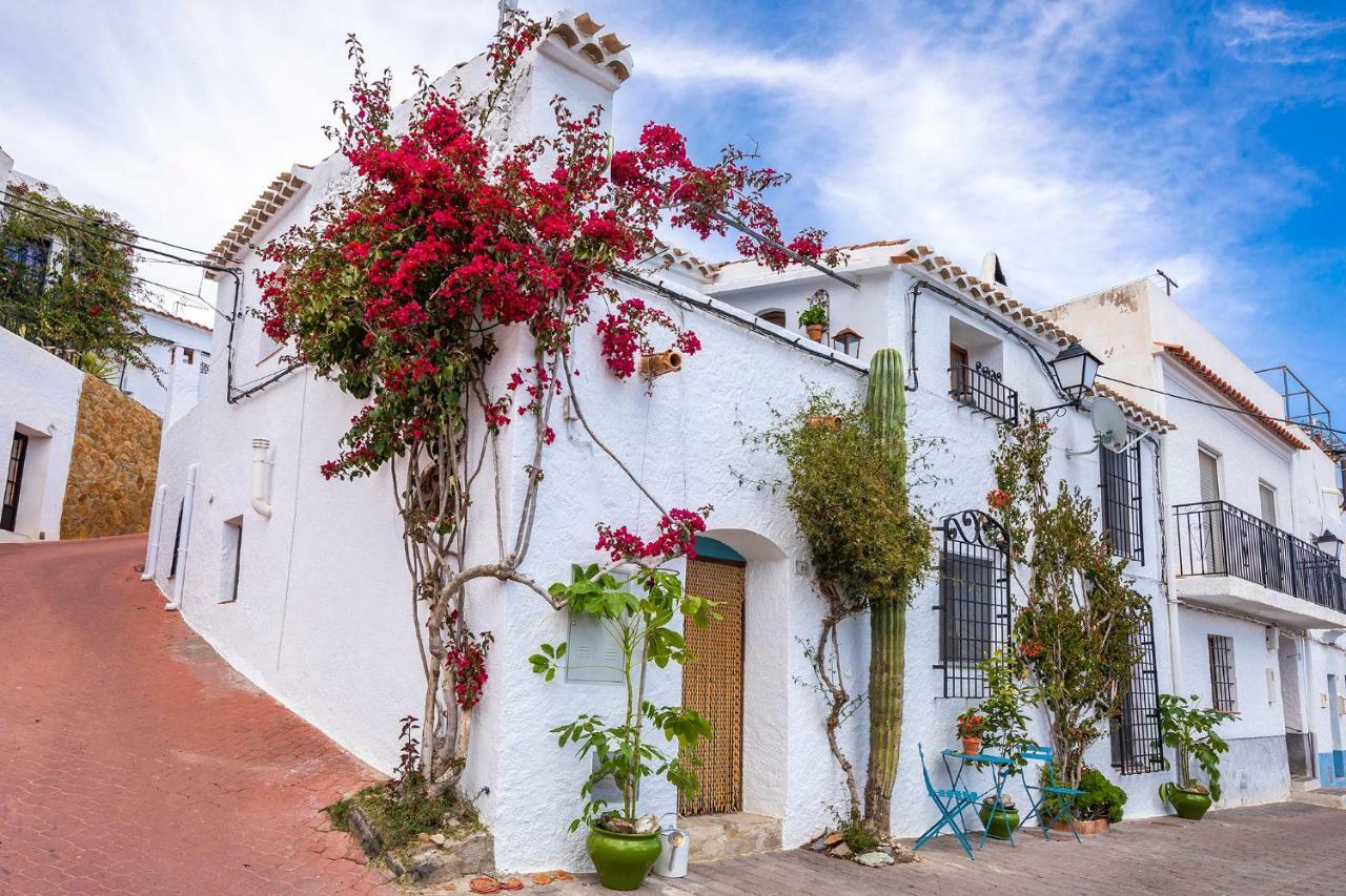 Casa Caballito De Mar Boutique B&B Bedar Екстер'єр фото