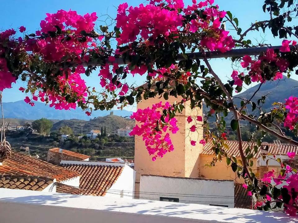 Casa Caballito De Mar Boutique B&B Bedar Екстер'єр фото